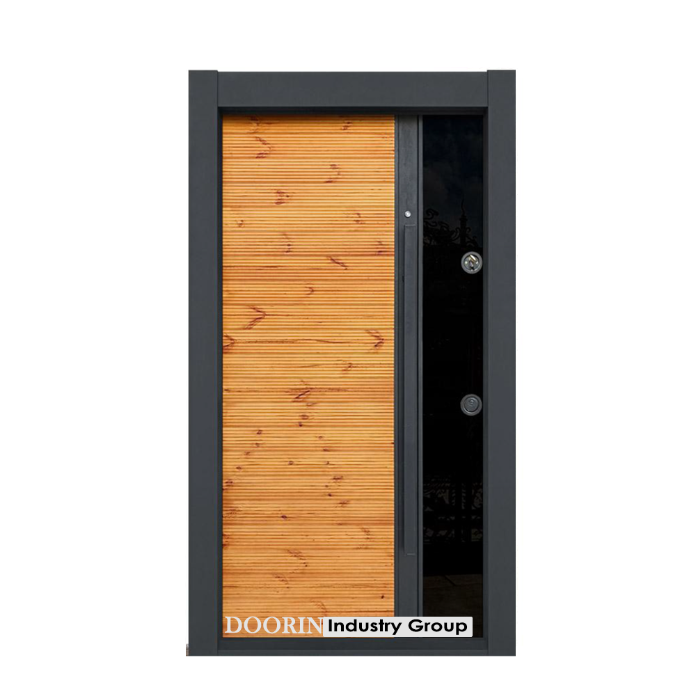 جدیدترین مدل درب ترمو